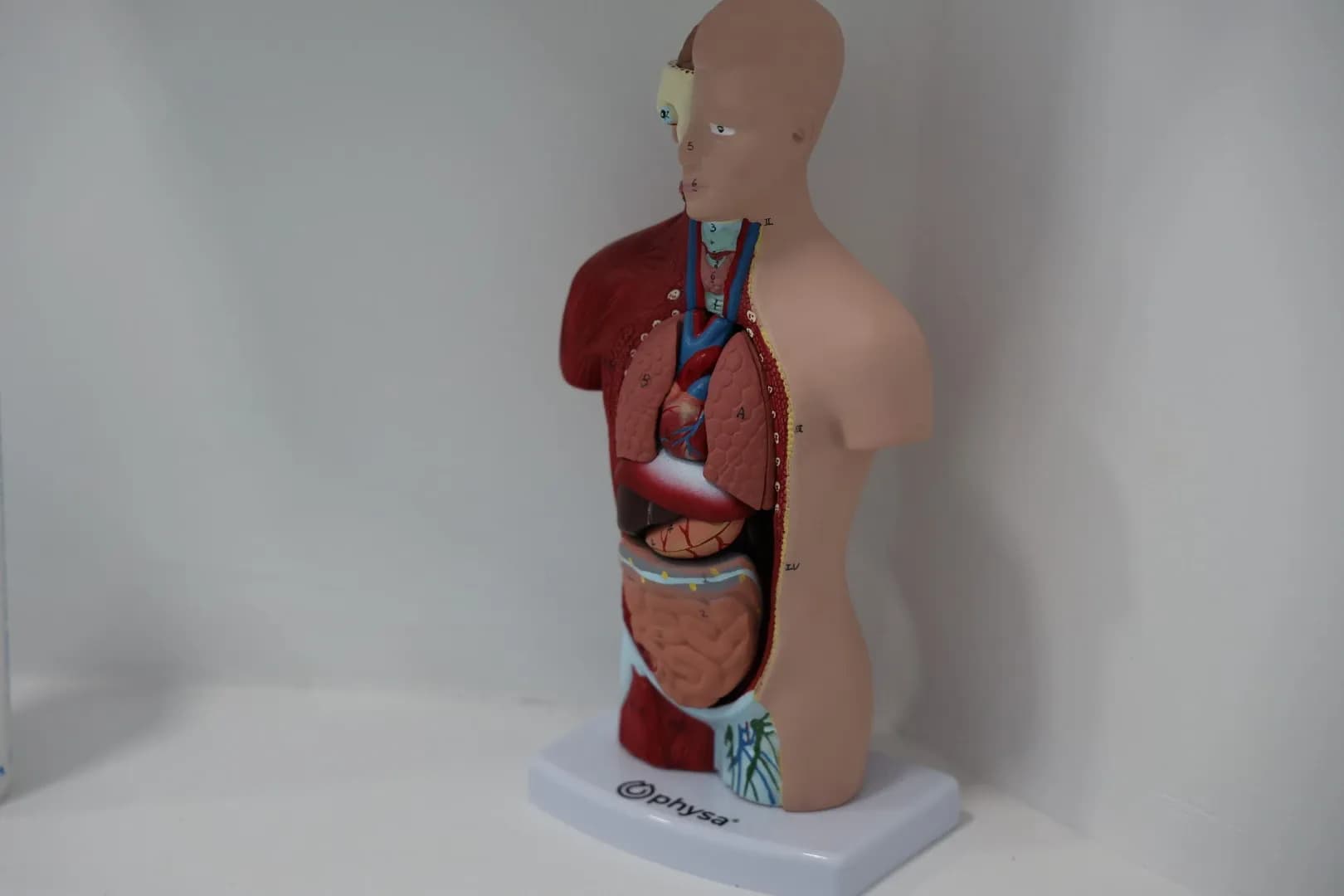 Медицинский кабинет семейного врача - 3