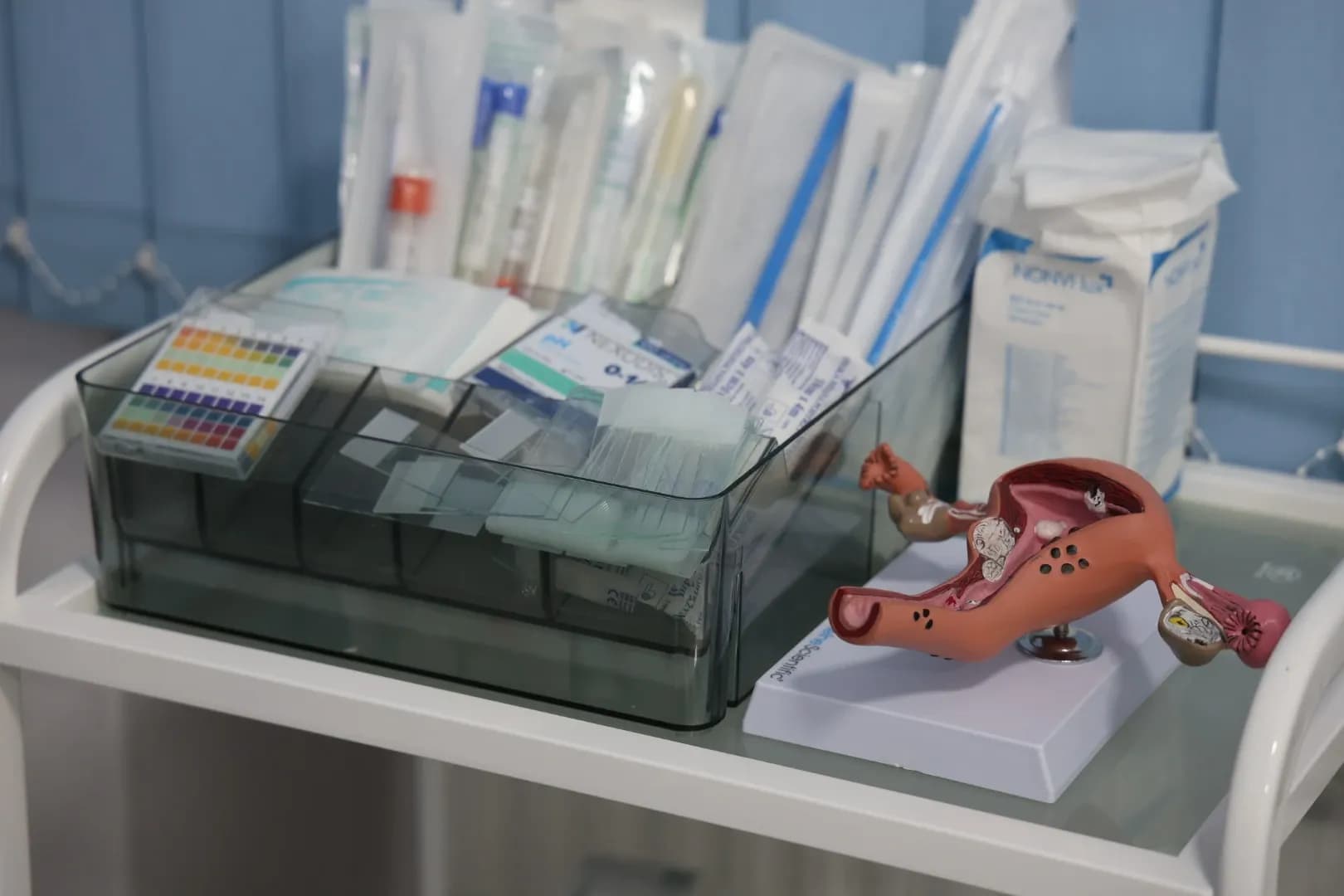 Медицинский кабинет гинеколога - 31