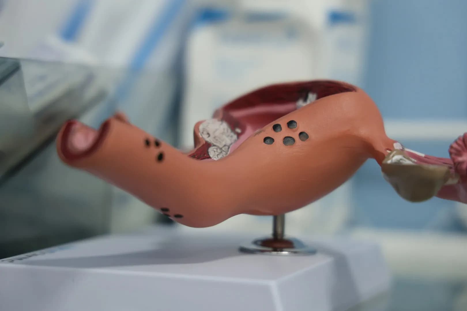 Медицинский кабинет гинеколога - 7