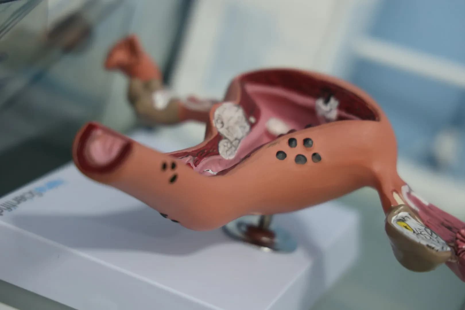 Медицинский кабинет гинеколога - 8