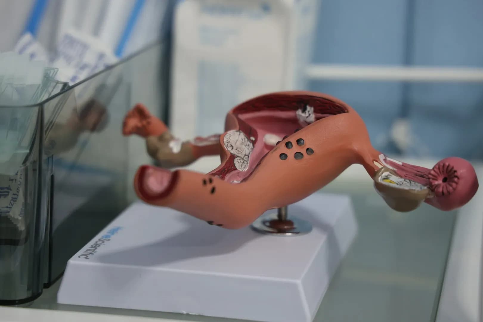 Медицинский кабинет гинеколога - 26