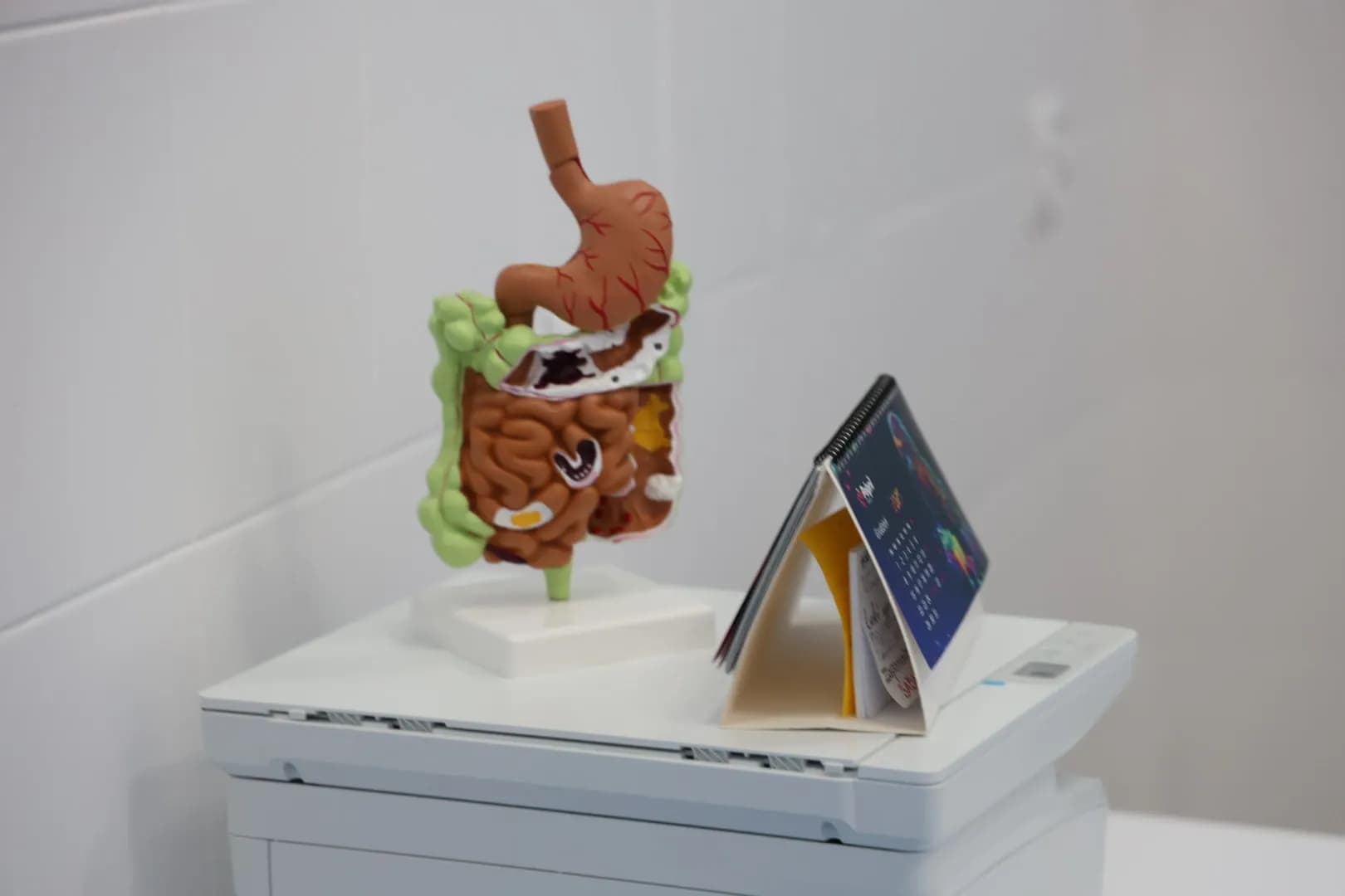 Медицинский кабинет гастроэнтеролога - 3