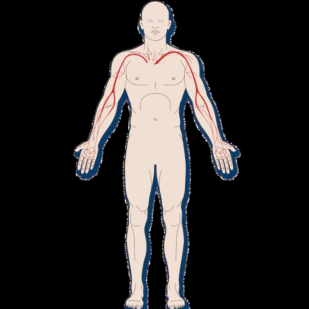 hero img